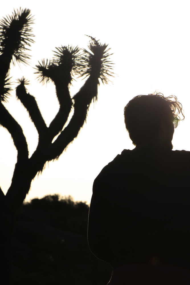 Edmonton Photography Joshua Tree